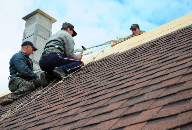 Roof Waterproofing Services in Neillsville, WI