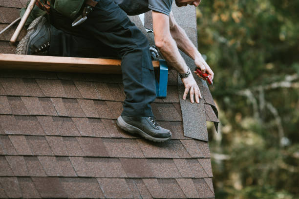 Best Roof Gutter Cleaning  in Neillsville, WI